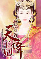 天降王妃