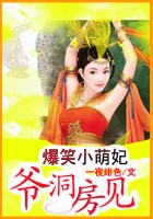 爆笑小萌妃:爷,洞房见