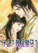 什么？我是驸马？