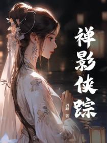 禅影侠踪