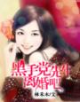 黑手党先生,离婚吧