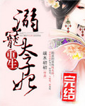 重生:溺宠太子妃