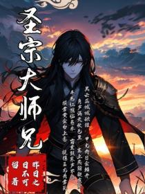 圣宗大师兄