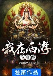 我在西游取真经