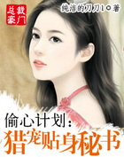 偷心计划:猎宠贴身秘书