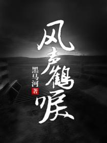 风声鹤唳 - 黑马河