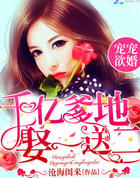 宠宠慾婚:千亿爹地娶一送二