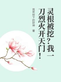 灵根被挖?我一刀烈火开天门!
