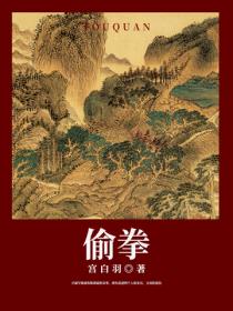 偷拳 - 宫白羽
