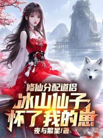 修仙分配道侣，冰山仙子怀了我的崽