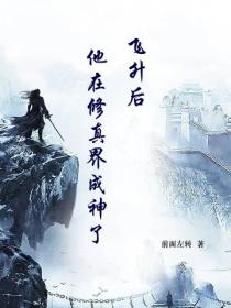 飞升后他在修真界成神了