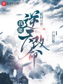 轮回模拟：我能逆天改命 - 卢锅巴