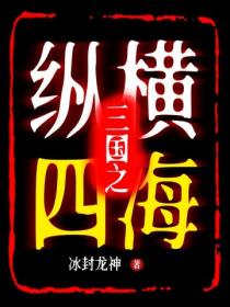 三国之纵横四海