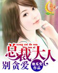 总裁大人,别贪爱!