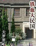 铁血大民国