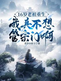 16岁老祖重生：我真不想管宗门啊