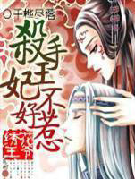 绣花王爷:杀手王妃不好惹
