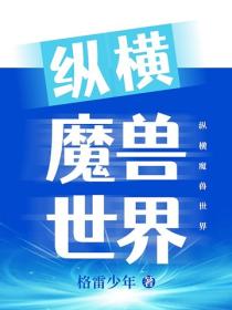纵横魔兽世界