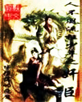 人不风流枉少年之奸臣